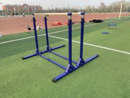 Paralelos Assimétricos Barras Desigualáveis, Equipamentos De Ginástica, Alta Qualidade - Image 2