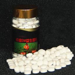 Cápsula Bio-Nitrobacteria para Aquário, Limpeza do Aquário, Probióticos, Ferramenta de Limpeza de Água, Lagoa, 80g por Garrafa - Image 2
