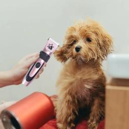 Baixo ruído Pet Trimmer com R-Type cabeça, Cat Grooming suprimentos, 5 modos ajustáveis, USB Recarga - Image 3