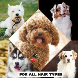 Shampoo e Condicionador Pet, Shampoo Natural 4 em 1 para Cães, Gel de Banho para Cachorros e Cachorros, Fórmula de Amigo dos Animais, 17oz - Image 6