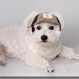 Bonés de Beisebol Respiráveis para Animais, Proteção Solar, Chapéu Esportivo, Cães e Gatos, Acessórios Verão, Moda - Image 3
