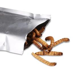 SUNSUN-Refeição Natural Seco Mealworm Food para Animais de Estimação, Répteis, Galinhas, Jardim Selvagem, Pássaro, Verme do Aquário, 140g - Image 6