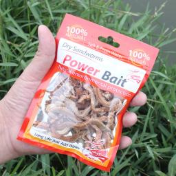 Natural Dry Sandworms Fishing Lure, isca de água salgada, poder de água doce, alimentador de carpa do mar, isca acessórios, todos, 1-10pcs - Image 2