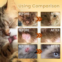 Yegbong-pet pele reparar soro, gato e cão pele ferida cuidados, cabelo Coceira - Image 6