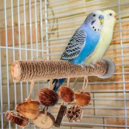 Madeira Stand poleiro brinquedo para papagaio, Bird Cage poleiro, Paw Grinding Stick - Image 5