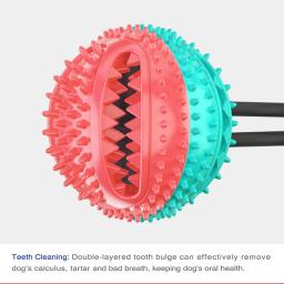 Bola de corda de ventosa interativa para cães pequenos e grandes, limpeza dos dentes, brinquedos para mastigar Golden Retriever - Image 6