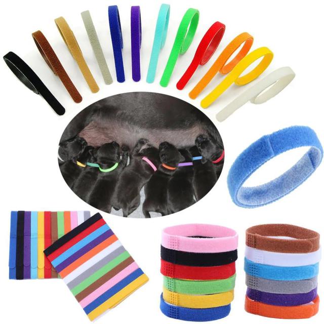 Coleiras Dupla Face para Cachorros com Identificação Ajustável - 12 Peças para Animais Recém-Nascidos e Produtos Domésticos