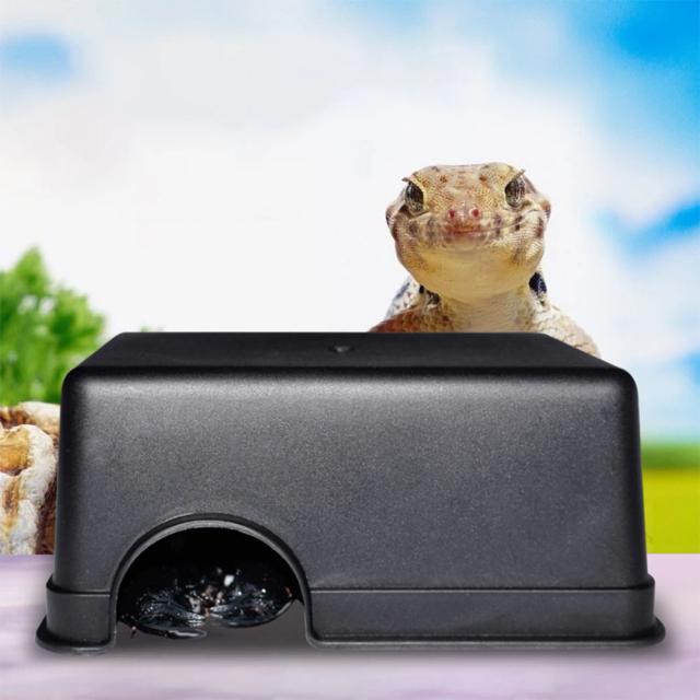 Abrigo Ideal para Répteis e Anfíbios: Terrário Completo com Comida, Acessórios e Decoração para Lagartixas e Serpentes