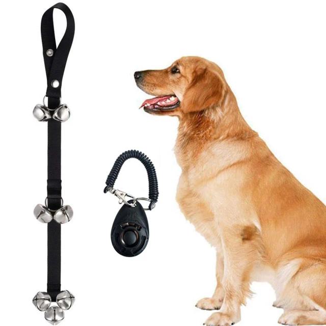 Conjunto Pet Porta Bell com Anel e Corda: Flauta para Treinamento de Golden Retriever