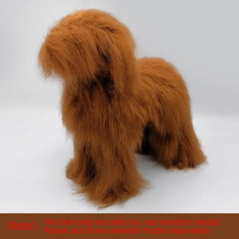 Animal de estimação simulação de cabelo apenas beleza falsa esteticista prática cão padrão poodle todo o corpo falso cabelo deve ser usado com esqueleto - Image 1