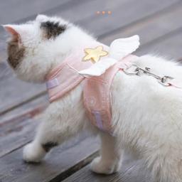 1/conjunto cão gato arreios coleira conjunto acessórios para animais de estimação kawaii anjo asa colete arnês para cães gatos personalizado gatinho filhote de cachorro suprimentos - Image 1