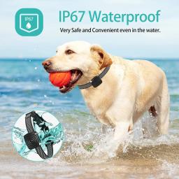 Nova coleira antilatido para cães de estimação pequenos Dispositivo antilatido para cães inteligentes Bipe/vibração IP67 para suprimentos de treinamento para animais de estimação pequenos - Image 2