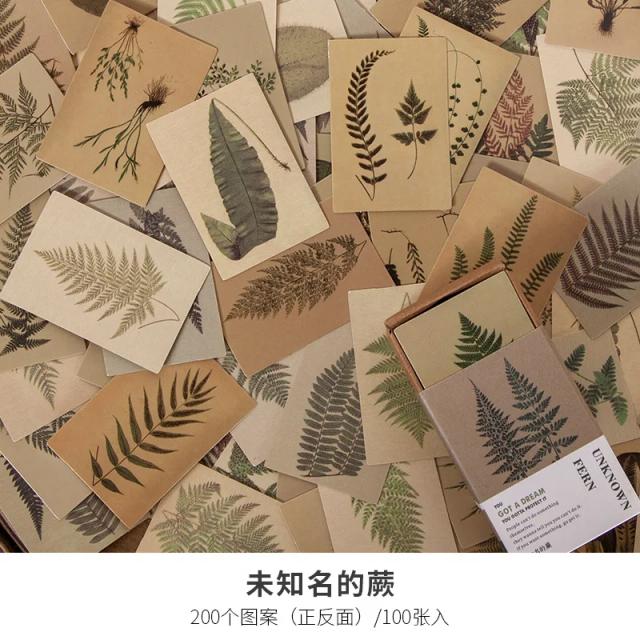 Coleção Vintage de Papel Kraft: 100 Cartões Mini, Postais e Envelopes para Scrapping e Decoração DIY