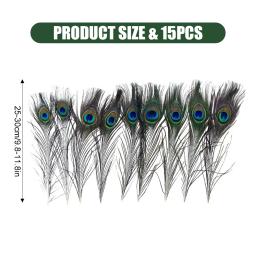 Natural Longo Penas do Olho do Pavão Grande, DIY Craft Ornament, Art Decoração, Natural Hat Hair, 15Pcs - Image 3