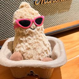 Jellicat-Boneca De Pelúcia Pequeno Amendoim para Meninas, Decoração Da Sala De Estar, Suprimentos De Móveis Pingente, Brinquedo Interativo Do Gato Bonito, Presente, 15cm - Image 3
