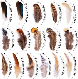 Muito natural pequenas penas de faisão pena de frango para artesanato brincos que fazem acessórios decoração plumas de pavão atacado - Image 6