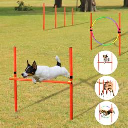 Outdoor Dog Set Obstáculo Formação, equipamento de agilidade, Jumping Set, Formação Acessórios, Curso de Obstáculo, Pet Supplies - Image 1