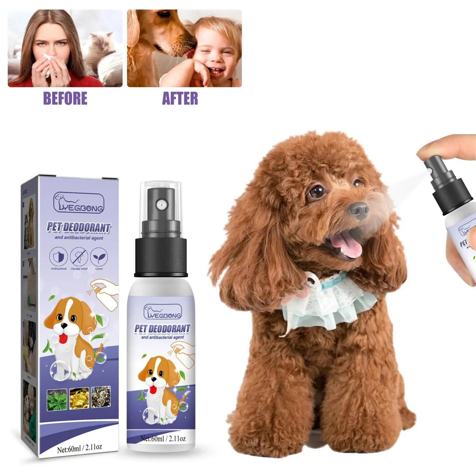 Pet Desodorante Spray para Removedor de Odores, Micção, Remoção de mau cheiro, Perfume fresco natural, Desodorizante Corporal - Image 1