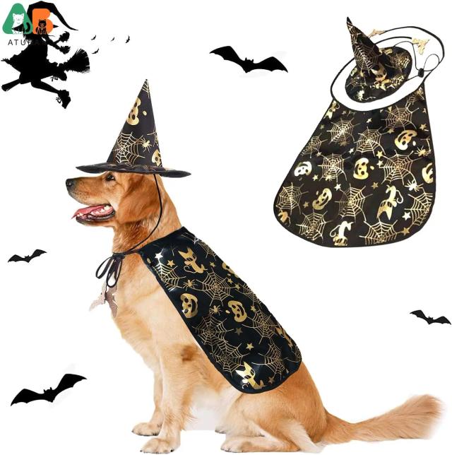 Fantástico Traje de Feiticeiro de Halloween para Pets com Chapéu e Bonés Engraçados - Pacote Duplo para Cães e Gatos