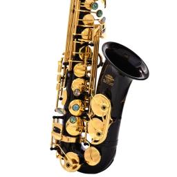 Alto chave e saxofone plano, laca dourada, sax de latão com estojo de instrumento, alça de pescoço, pano de limpeza, escova para iniciantes - Image 6