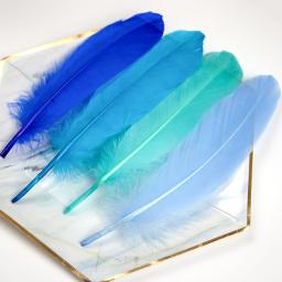 50/100 peças penas de ganso tingidas várias penas de cisne naturais para artesanato joias de casamento acessórios de festa 15-20cm/6-8 tamanhos - Image 2