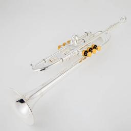 Tradivarius-TR600 Trompete com Bocal, Trompete, Banhado a Prata, Instrumento Musical, Grau Profissional, Novo, Venda Quente - Image 5