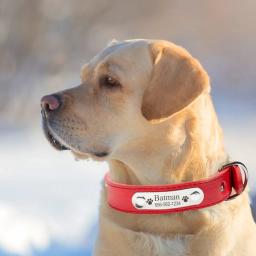 Coleira de couro PU personalizada, durável, ajustável, gravar nome, ID Tag, coleira personalizada para Pet, cão pequeno, médio, grande, cachorro - Image 6
