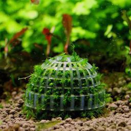 1pc aquatic suprimentos para animais de estimação decorações aquário musgo bola filtro de plantas ao vivo para java camarão tanque de peixes pet decoração do tanque de peixes - Image 2