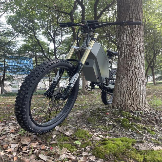 Bicicleta Elétrica Eike 3000W 80 Km/h para Adultos