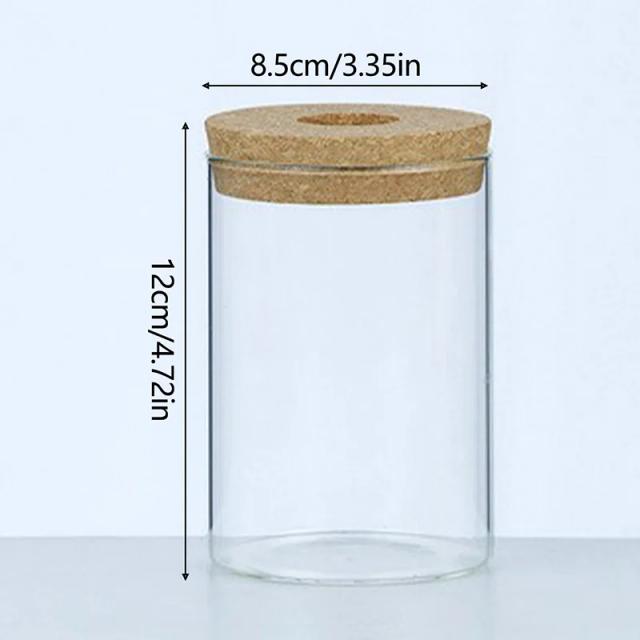Vaso Ecológico de Vidro Redondo com Rolha de Madeira para Hidroponia e Micro Paisagens
