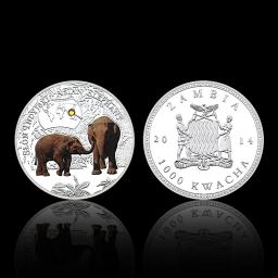 Conjunto de moedas de prata para amantes de animais raros, Medalha Comemorativa em Cápsula, Presente para amantes de animais, África 1000 kWa, 12pcs - Image 3