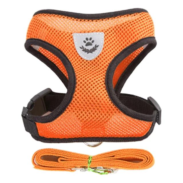 Colete e Trela Respirável para Cachorros e Gatos - Arnês Refletivo para Pets Pequenos