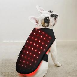 LED Red Infrared Light Dog Clothes, Terapia de alívio da dor animal, Wrap Belt, Casaco para Pet Back, 660nm 850nm - Image 3