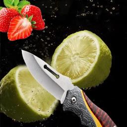 Faca de frutas de aço inoxidável multifuncional, Canivete dobrável, Facas de churrasco portáteis, Cozinha Cozinhando Meat Cleaver, Corte - Image 3