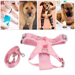 Ajustável Dog Back Legs Sling, Suporte de quadril, Pet para ajuda canina, Reabilitação do ligamento, Arnês de elevação do cão, Perna dianteira - Image 3