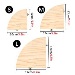 Suporte de madeira em forma de ventilador para gaiola, Acessórios para papagaios, Perch para animais pequenos Chinchilla Squirrel Hamster, Stand Board - Image 4