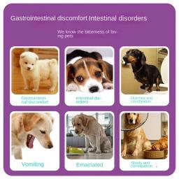 Suplementos Probióticos para Cães e Gatos, Diarreia e Vômitos, Promovem a Digestão, Condicionam o Estômago, 200 Comprimidos - Image 3