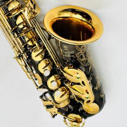 Saxofone Alto banhado a níquel com chaves douradas, sopro profissional, decoração lindamente esculpida, Eb Tune, preto, YAS-875EX - Image 5