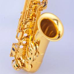 Alto chave e saxofone plano, laca dourada, sax de latão com estojo de instrumento, alça de pescoço, pano de limpeza, escova para iniciantes - Image 3