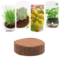 367A 5 unidades substrato jardinagem doméstica Tortoise Earth para decoração habitat répteis - Image 2