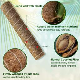 Conjunto de pólos de musgo altos com cordas de juta naturais, suportes de plantas duráveis para Monstera, Sphagnum e Pothos, Pack 2 - Image 5