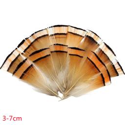 Pena De Faisão Natural Para Decoração De Casamento, Avestruz E Turquia Plume, Acessórios De Natal, Mesa DIY Centere, Artesanato, 20-500Pcs - Image 3