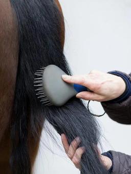 Escova profissional de juba e cauda de cavalo, escova de juba e cauda com alça humanizada, antiderrapante, massagem para animais de estimação, escova de cabelo de cavalo para grosso - Image 3