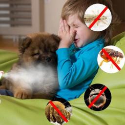 260ml pulgas e carrapatos animais de estimação pulverizador cães e gatos ação rápida remoção de carrapatos o pulverizador da pele do animal de estimação remove naturalmente apropriado para a família do animal de estimação - Image 3
