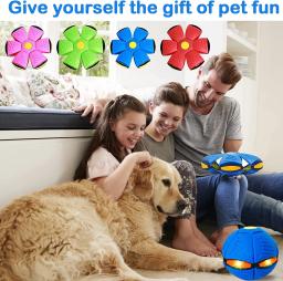 2023 Novo Pet Dog Toy Magic Flying Saucer Bola durável de borracha macia Interactive Jogando Bola Esporte ao ar livre Dog Training Equipment - Image 6
