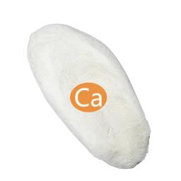 Réptil tartaruga saúde liberação lenta cálcio mineral cuttlefish osso para alimentação de aves aquáticas bloco cuttlebone suplemento de cálcio - Image 5