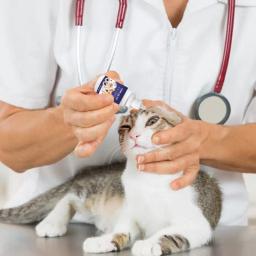 Pet colírio para cães e gatos, removedor de mancha de lágrima, anti-oftalmologista, suprimentos para pequenos animais - Image 3