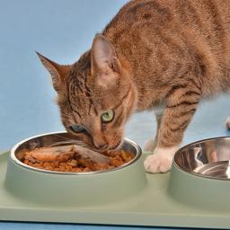 Tigela dupla para cães com esteira de Silicone Tigela antiderrapante para gatos Alimentador de água de aço inoxidável Alimentação para animais de estimação Tigelas para cães e gatos - Image 2