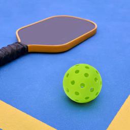 LED Light Up Pickleball Prática Toy Ball, 40 buracos para tribunal, ao ar livre - Image 4