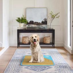 Esteira de resfriamento dobrável para cães, esteiras de descanso para dormir, pet caixas, almofada auto-fresca, pequena, média e grande, verão - Image 5